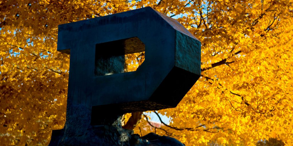 Purdue Block P statue in front of a tree in autumn
