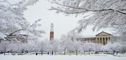 Bell Tower with snow