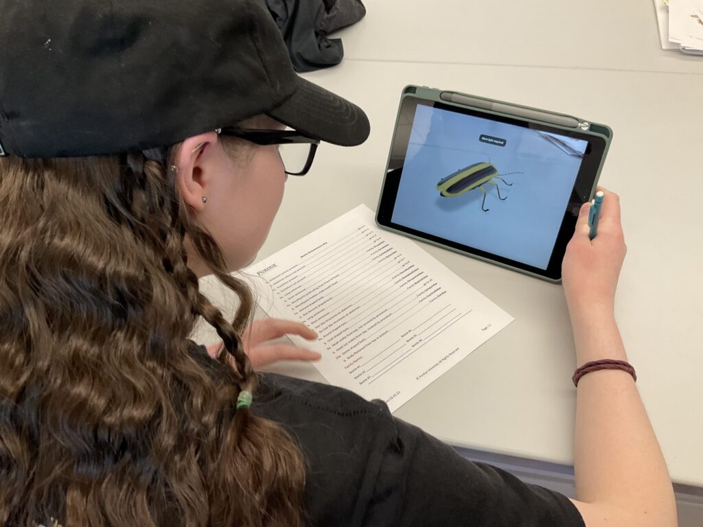 Science student examining 3D Insect image using AR application on iPad
