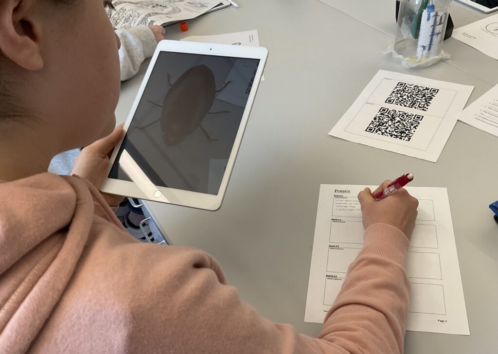 Students use AR-enhanced images of a Japanese beetle to document and classify the insects’ characteristics.