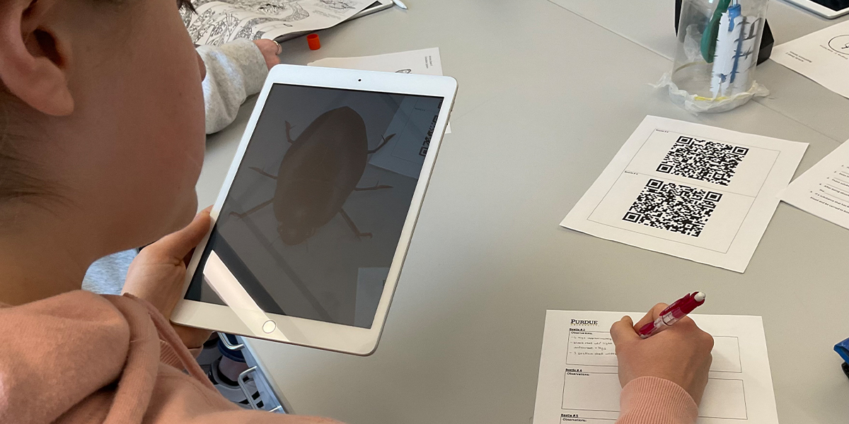 Students use AR-enhanced images of a Japanese beetle to document and classify the insects’ characteristics.