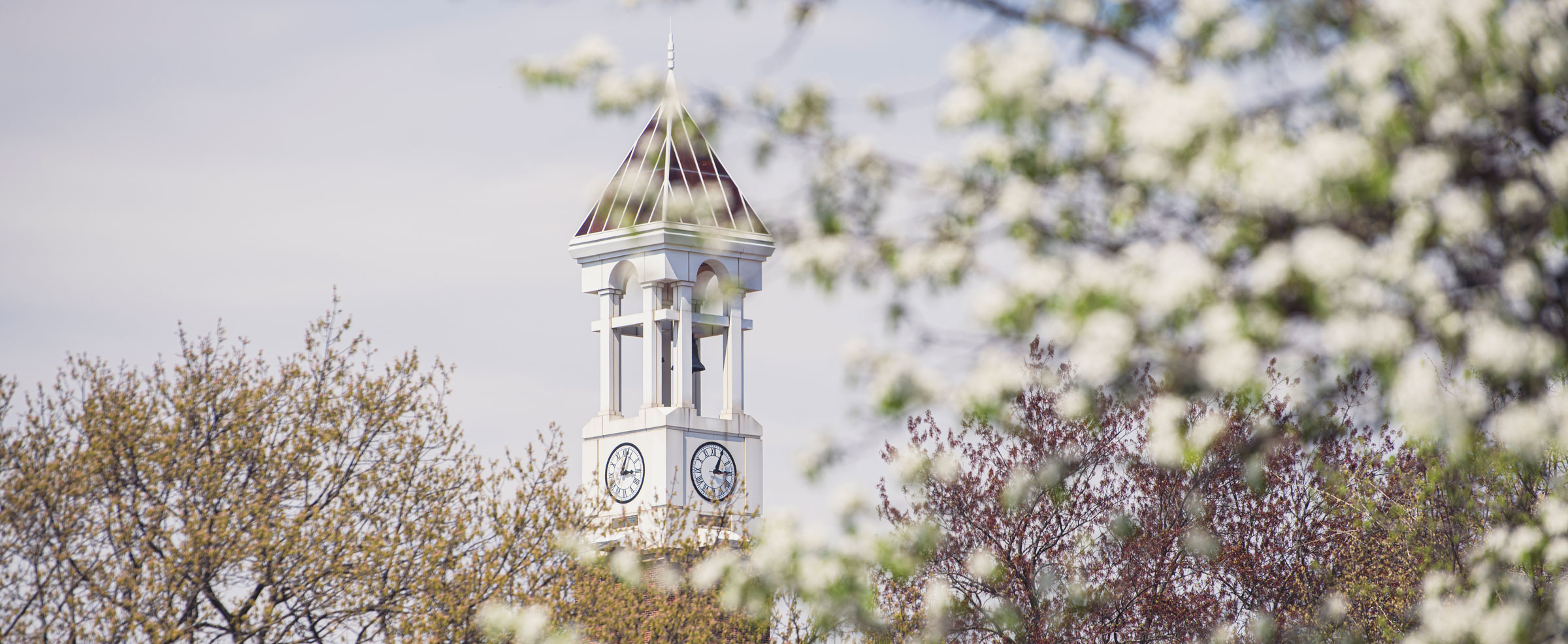 A view through some trees of the Purdue University clock tower