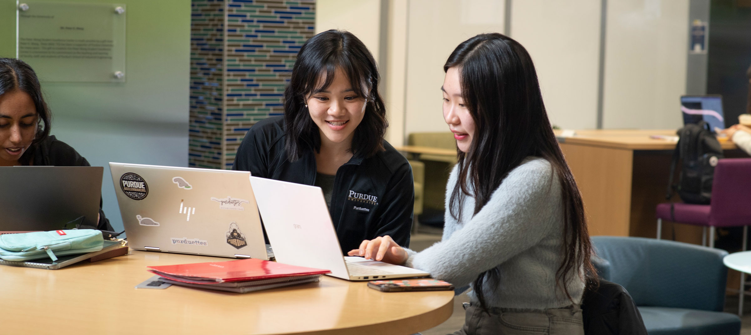 Two students work together on their computers.