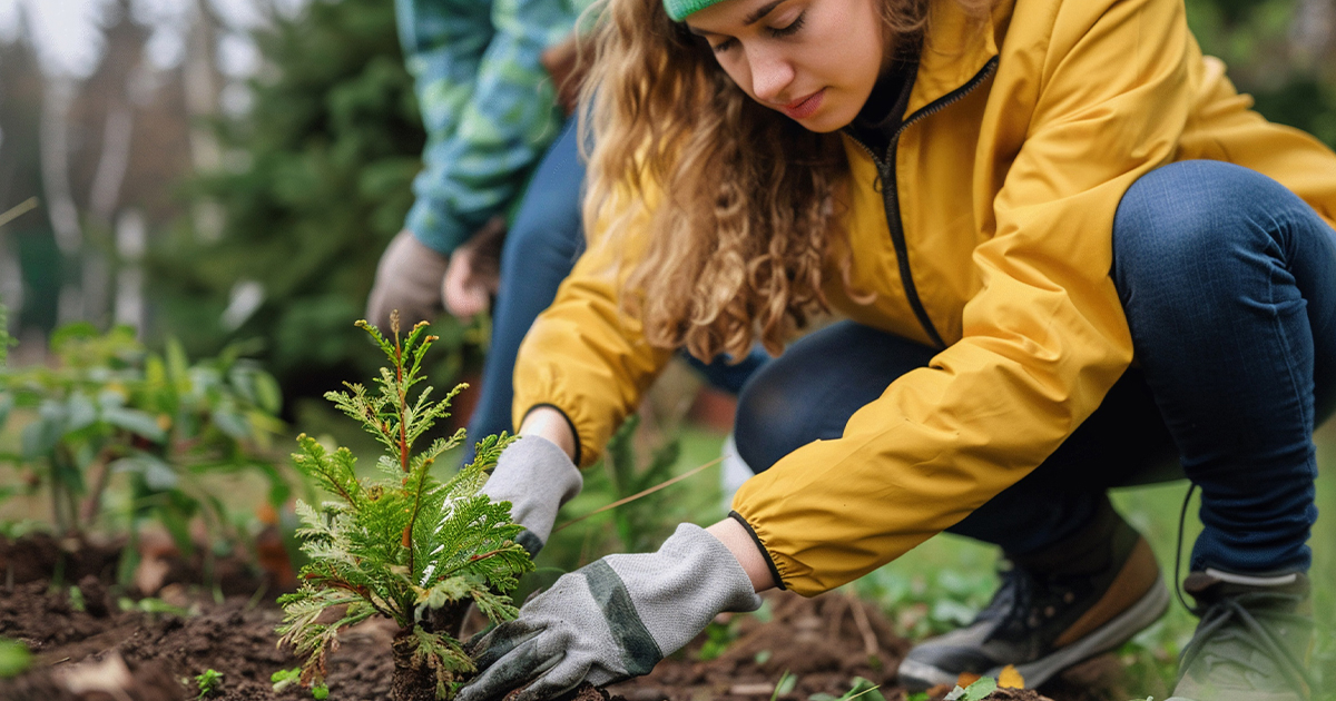 A high school student planting a tree into the dirt.