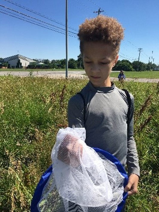 INGU students explore entomology during summer camp and after-school programming.