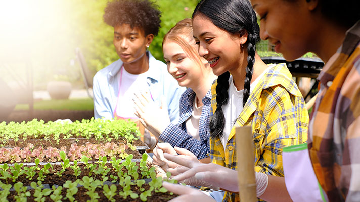 Students look at plants outside