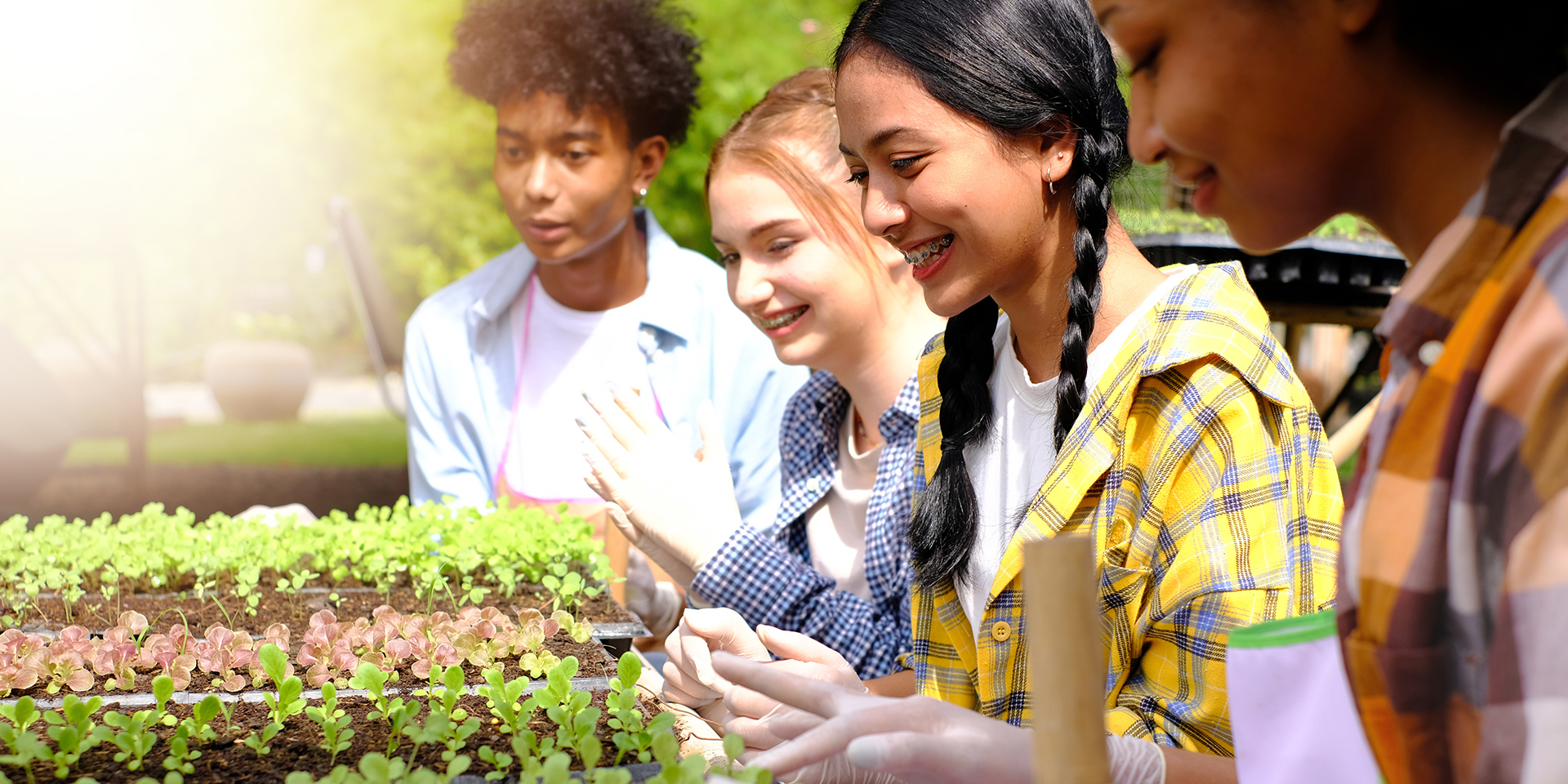 A group of students working outside. They are wearing gloves and looking at a row of sprouts.
