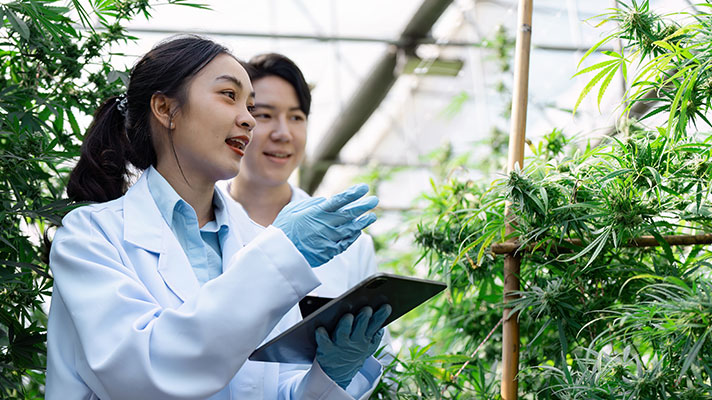 Two students in white lab coats work with plants in a greenhouse