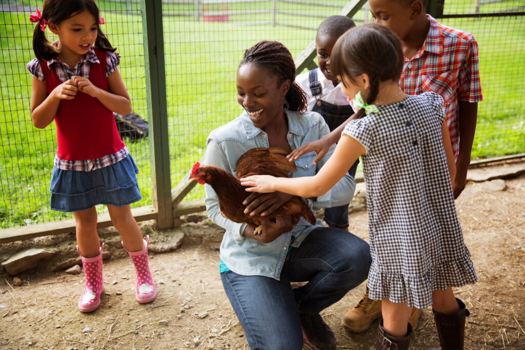 A young woman handling a chicken. She is surrounded by four young children reaching out to the chicken.