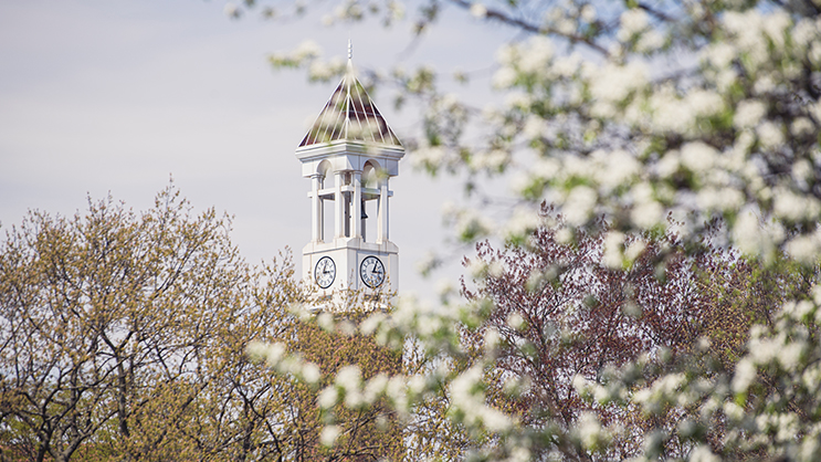 A view of the Bell Tower with various trees surrounding it. A tree with white flowers partially obscures the tower.