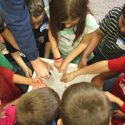 Students reach into a box that contains ice for an experiment at CATALYST