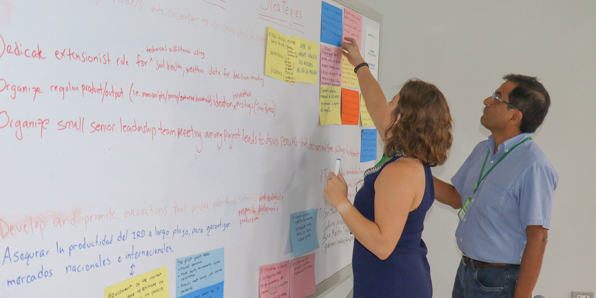 ELRC staff work on a research project