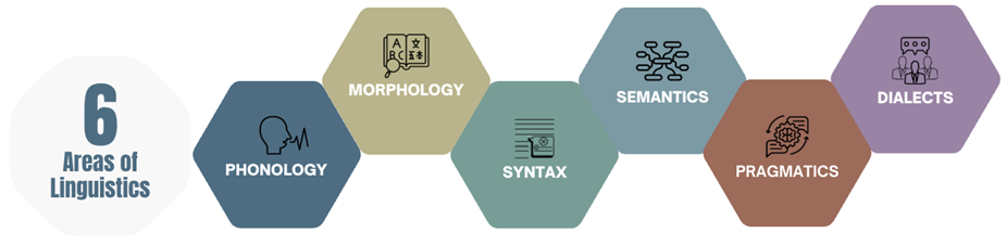 A diagram titled, "6 Areas of Linguistics". There are six hexagons titled Phonology, Morphology, Syntax, Semantics, Pragmatics, and Dialects. 