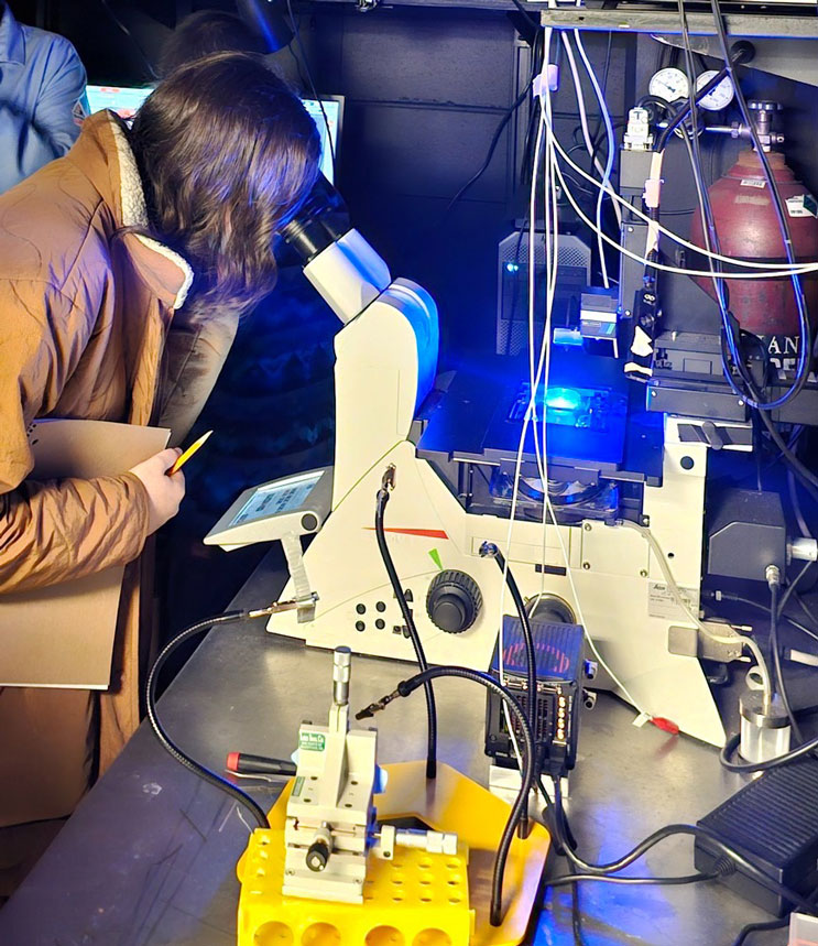 A Super Saturday student looks into a microscope in a lab