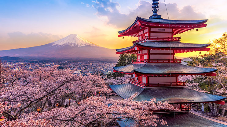 A Japanese temple surrounded by cherry blossoms with Mt Fuji in the background