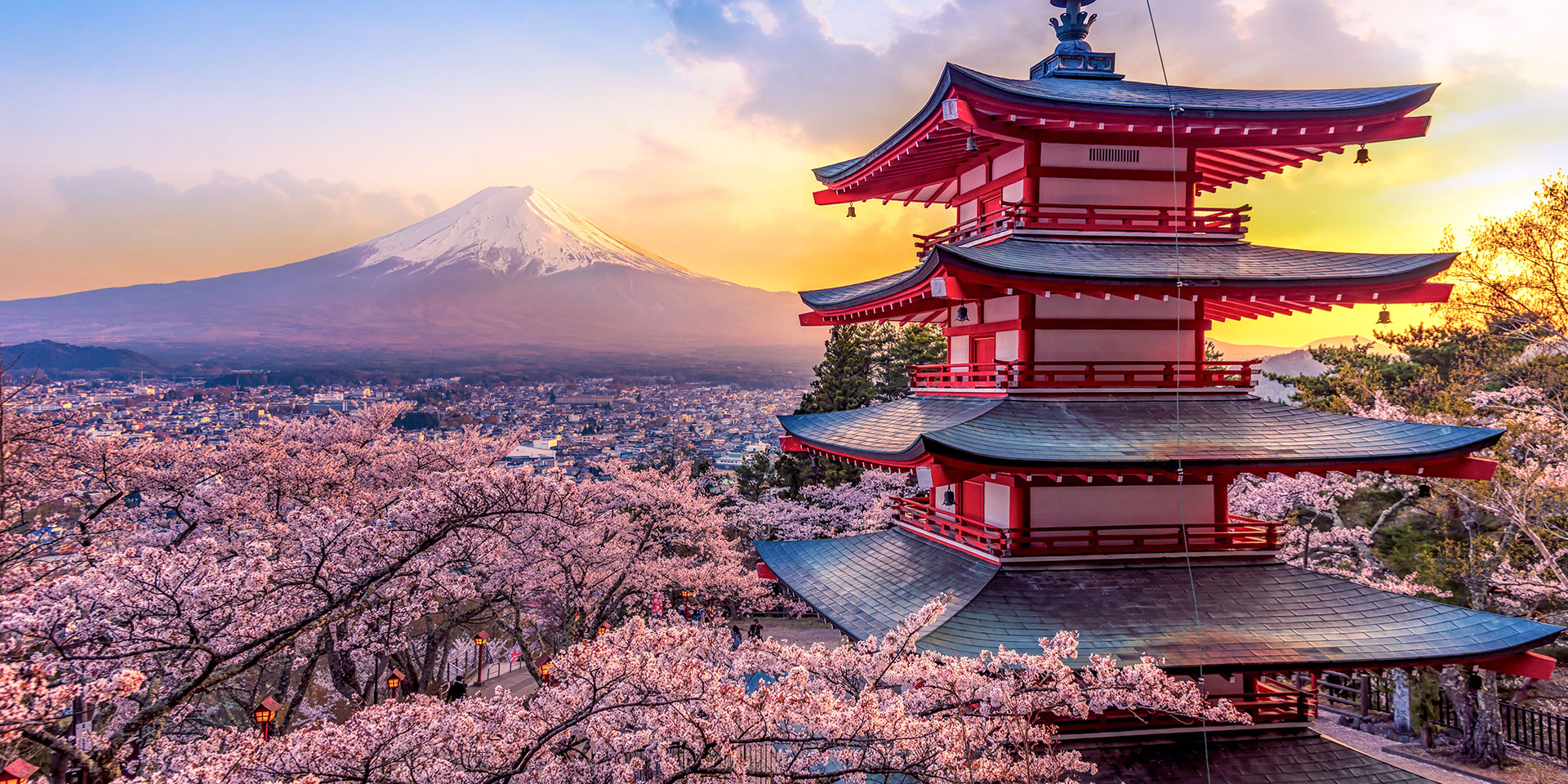 A Japanese temple surrounded by cherry blossoms with Mt Fuji in the background